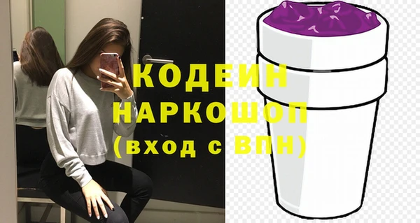 индика Нефтегорск