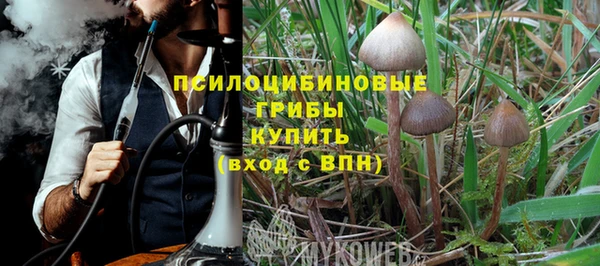 дмт Нея