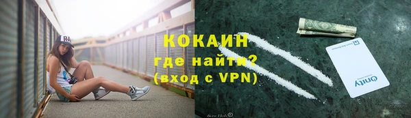 индика Нефтегорск