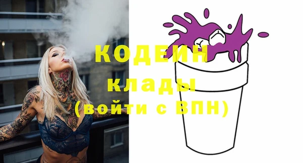 индика Нефтегорск