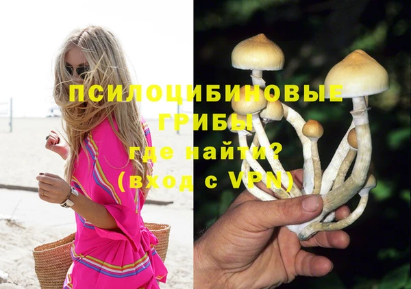 PSILOCYBIN Надым