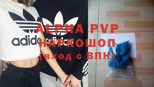 индика Нефтегорск