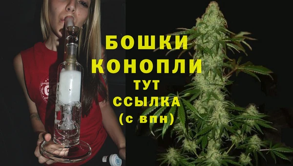 дмт Нея